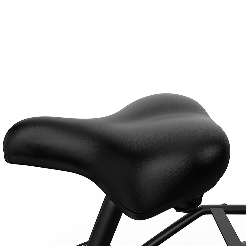 EAZION C1 Electric Bike 25km/h