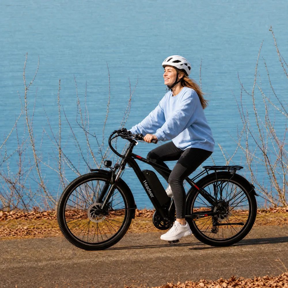 EAZION BK1350 E-Mountainbike