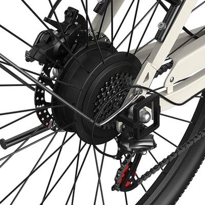 EAZION C1 Electric Bike 25km/h