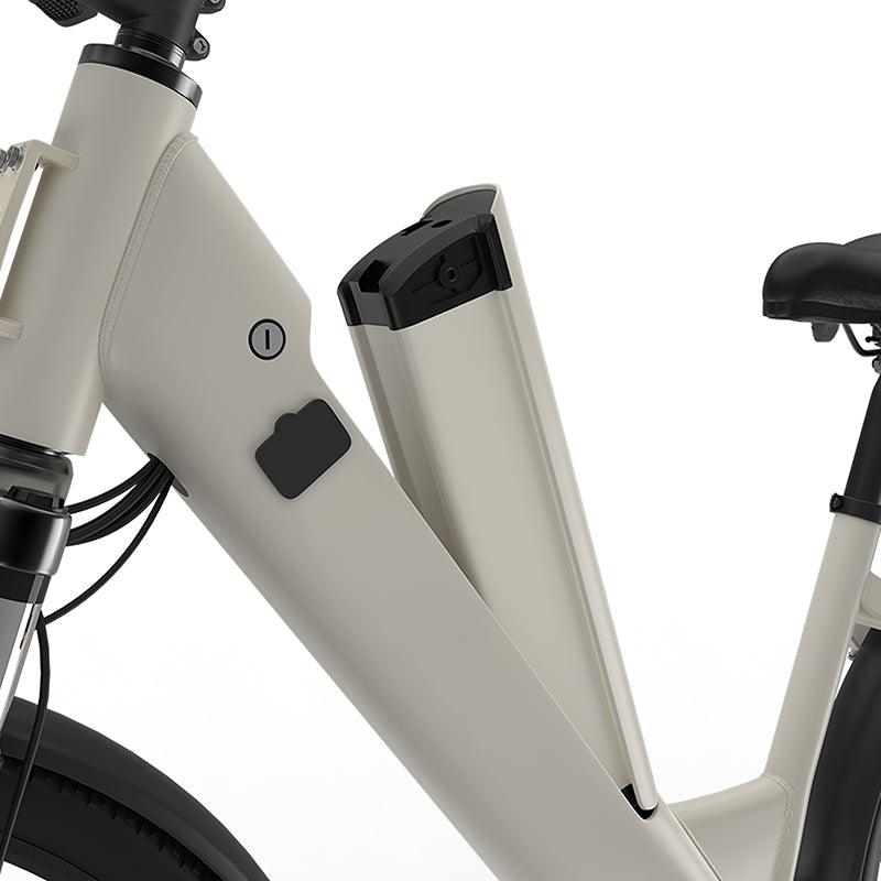 EAZION C1 Electric Bike 25km/h