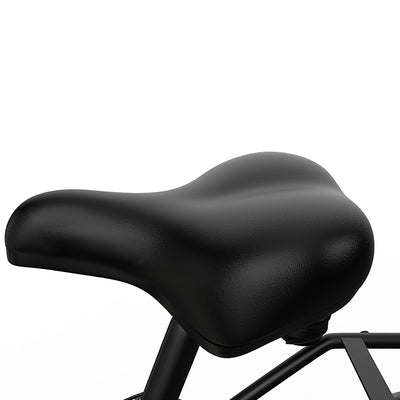 EAZION C1 Electric Bike 25km/h