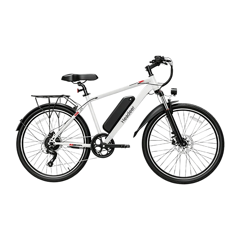 EAZION BK1350 E-Mountainbike