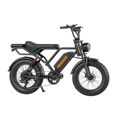 EAZION BK20 Urban Retro Ebike