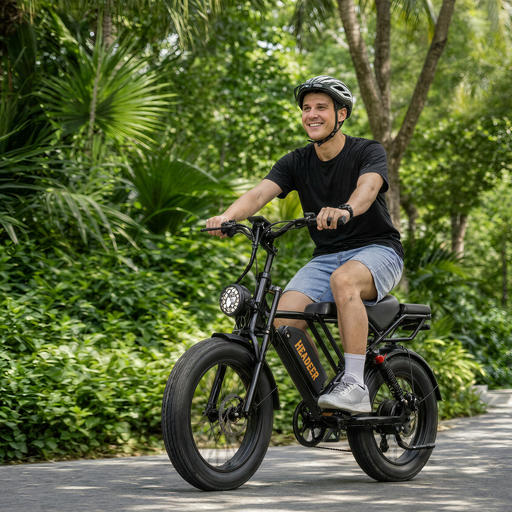 EAZION BK20 Urban Retro Ebike