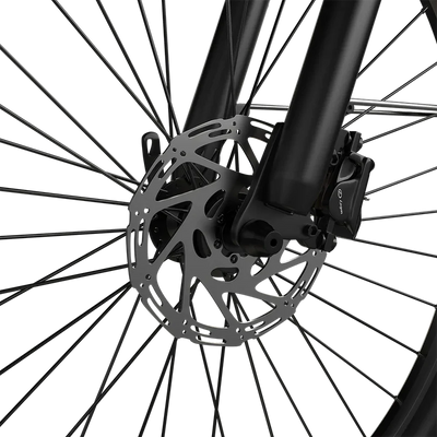 EAZION C1 Pro Electric City Bike