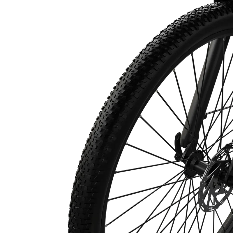 EAZION C1 Pro Elektrofahrrad 25 km/h