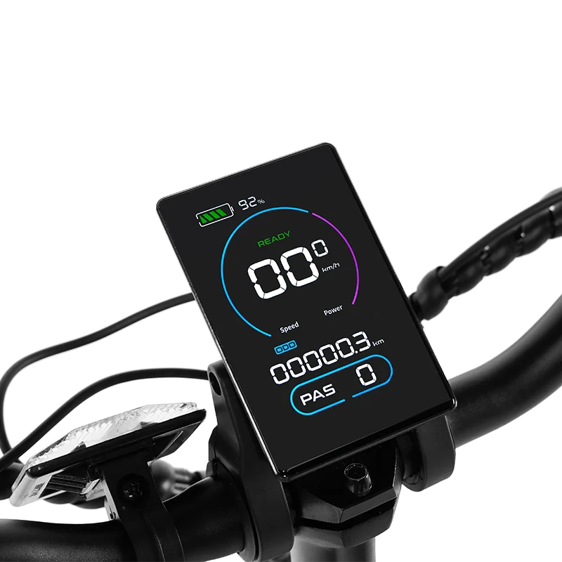 EAZION Wind Elektrofahrrad 25 km/h