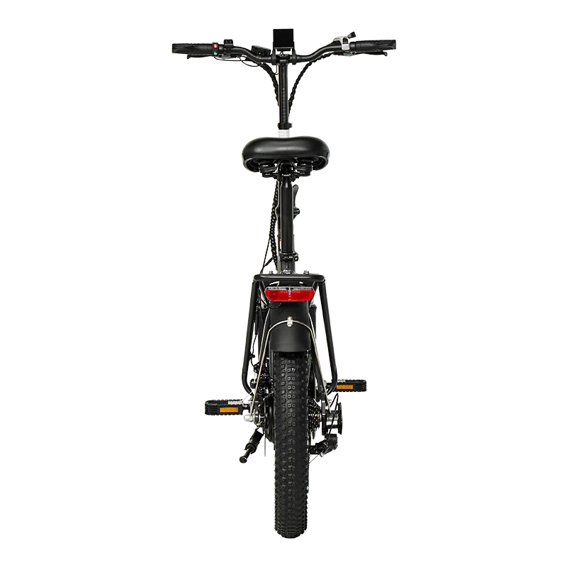EAZION Wind Elektrofahrrad 25 km/h
